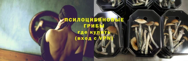 таблы Алексин
