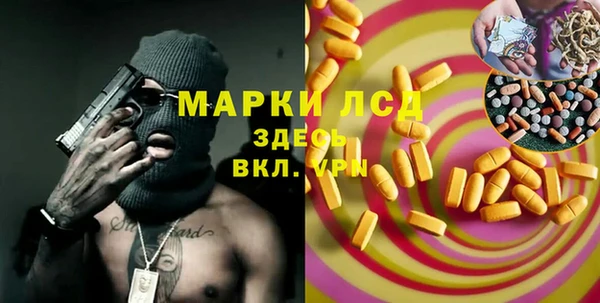 прущие грибы Алексеевка