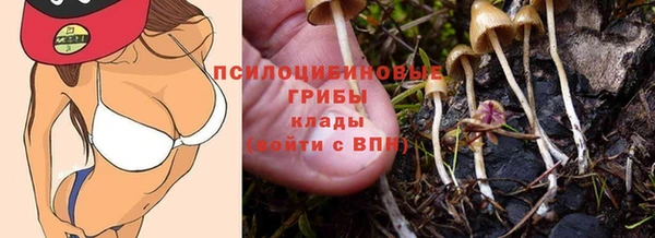 прущие крисы Алзамай
